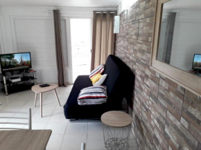 Appartement de 2 chambres avec jardin clos et wifi a Saint Joseph a 7 km de la plage